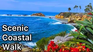 Slow Living SoCal Walking Tour [4K] - Part1: Scenic Treasure Island Park Montage Resort Laguna Beach