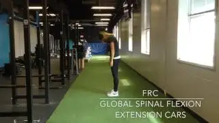 FRC Global Flexion Extension Spinal CARs
