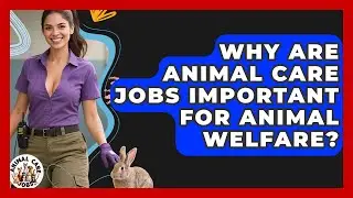 Why Are Animal Care Jobs Important for Animal Welfare? | Animal Care Jobs