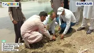 SSWMB I PLANTATION DRIVE I DISTRICT SUKKUR I AWARENESS I CLEAN GREEN SUKKUR