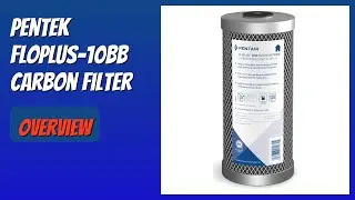 REVIEW (2026): Pentek FloPlus-10BB Carbon Filter. Features
