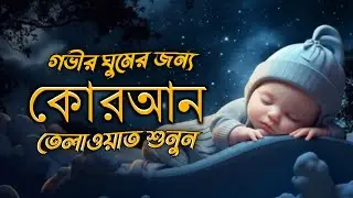 প্রশান্তিময় ঘুমের জন্য সুন্দর কুরআন তেলাওয়াত । BEAUTIFUL QURAN RECITATION For Relaxing Sleep | E77
