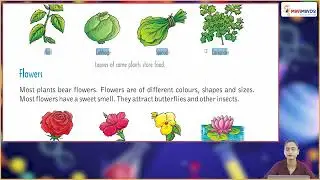 Ch 6 | Miniminds | Science Fiction | Class 3 | Parts of a Plant | For children