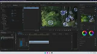 How to convert color video into black and white in premiere pro