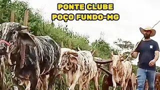 OS CARREIROS A CAMINHO DO ENCONTRO
