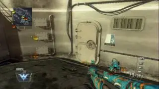 BO2 Custom Animations (PS3)