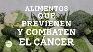ALIMENTOS QUE PREVIENEN Y COMBATEN EL C&Aacute;NCER | Sustancias anticancerosas que est&aacute;n en las plantas...