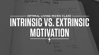 Intrinsic vs. Extrinsic Motivation