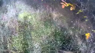 La Save en d&eacute;cembre