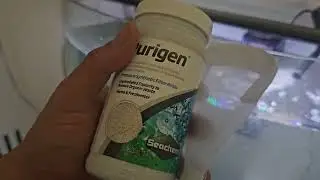 Purigen & Matrix Bio Media