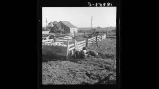 American Folk Music (CA): The Cuckoo