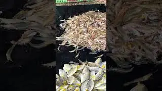 Fresh Ocean Prawns Small Size!!! #prawns #shrimp #ocean #sea