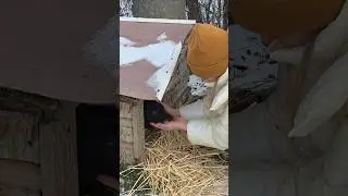 He Peeked Out of the Doghouse &mdash; And My Heart Stopped