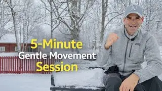 5-Minute Seated Workout | Consistency Over Intensity for Strength and Mobility