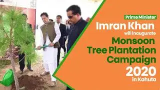 Imran Khan Moonsoon Tree Plantation- info Bytes | DMW