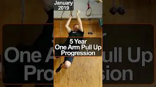 One Arm Pull Up Progression- 5 Years of Training #calisthenics #onearmpullup #pullup #shorts