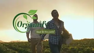 Best Soil Substitute? Try Orgamify Cocopeat Block!