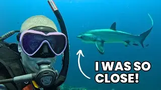 Facing Sharks in Malapascua!