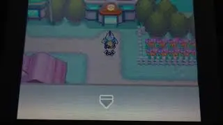 Pokemon Heartgold National Pokedex Complete - Retro Game Boy Sounds Item from original Gold Version!