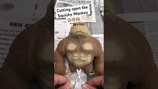 Разрезаем мягкую обезьянку 🙉🙈🙊
