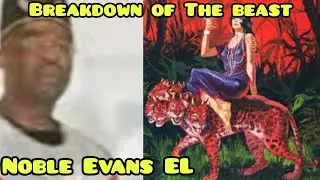 Noble Evans EL - Breakdown of The Beast
