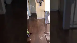A  skillful 20 months old toddler