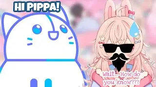 A vtuber exposed Pippa on Iriam