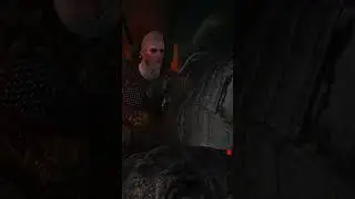 Reinald's Spirit - The Witcher 3: Wild Hunt