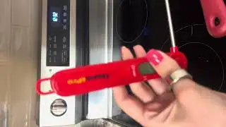 Everyone needs a food thermometer ThermoPro TP03B Digital Meat Thermometer