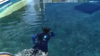 St. Augustine Aquarium
