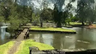Liliʻuokalani Gardens, Hilo, Big Island, Hawaii 