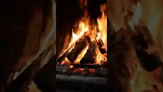 vivid flame in the fireplace#Shorts#бодественое пламя в камине