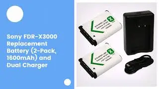 Sony FDR-X3000 Replacement Battery (2-Pack, 1600mAh) and Dual Charger