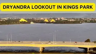 Kings Park Dryandra Lookout | Perth Life and Living WA