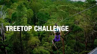 Treetop Challenge 🌴