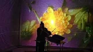 Aalto Aesthetics Valotaide tapahtuma