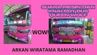 SUARA MESIN DAN KNALPOT BUS QUEEN WOLF!