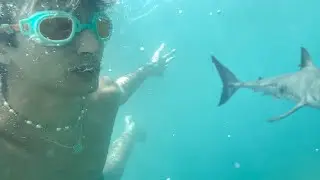 i'm a fishy