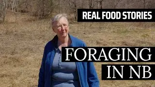 Early Spring Foraging in New Brunswick (Full Documentary) Real Food Stories