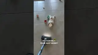 Vacuuming a HUGE dust bunny!