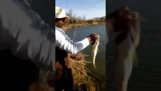 6lber caught & release at secret pond