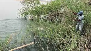 Krishna river fishing