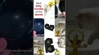 The Best Kitty Combo of the month!!!