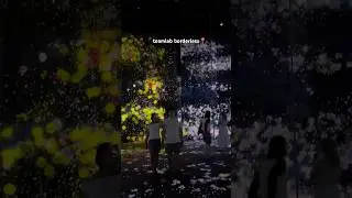 Best indoor activity in Tokyo 📍teamlab borderless #japantravel #japan #teamlabborderless #tokyo