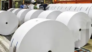 &ldquo;Inside the Paper Factory: How Millions of Sheets Are Made Every Day Without Defects&rdquo;