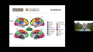 Relating Age, Brain, and Cognition: Results from the Cambridge Centre for Aging & Neuroscience