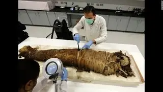 Egypt discovers new necropolis, 17 mummies near the Nile Valley city of Minya, Tuna al-Gabal village