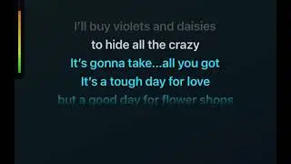 Flower shops &ndash; karaoke
