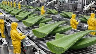 Inside the Factory: How Refreshing Aloe Vera Juice Is Made | Complete Manufacturing Process