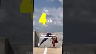 What are Sets and Reps?